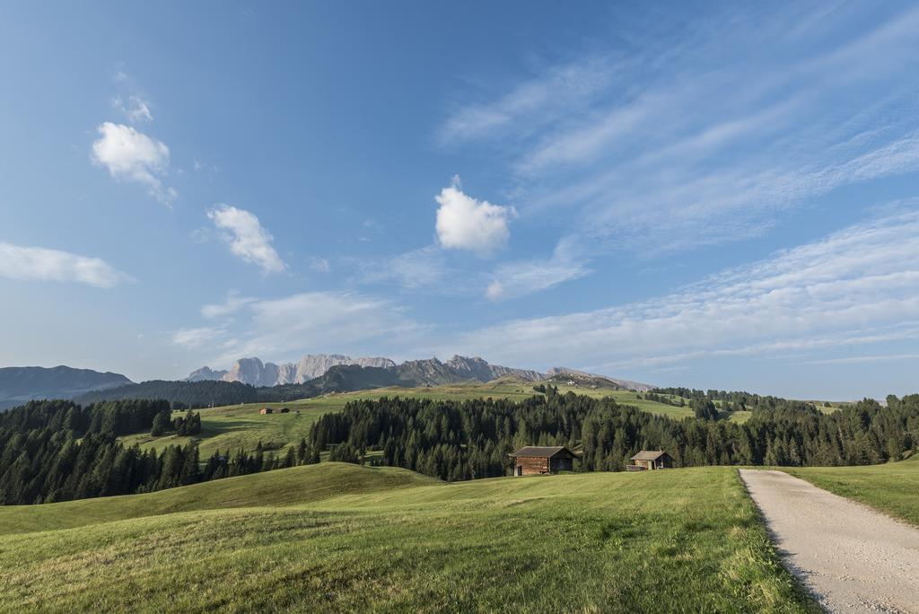 La Paula Apartments & Suites Siusi Exterior photo